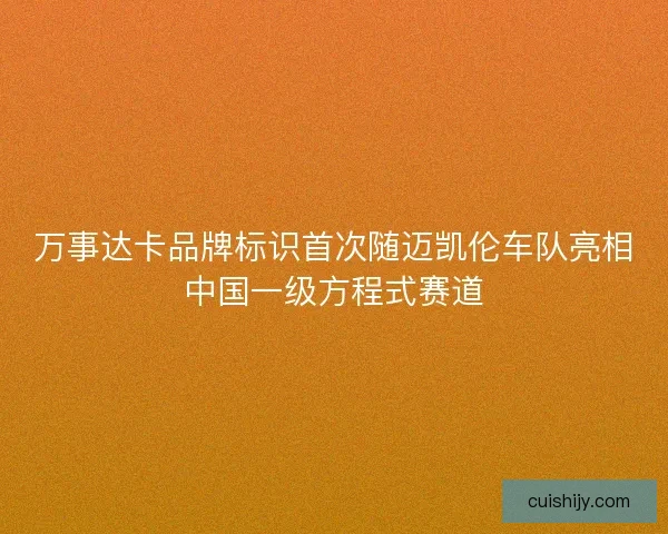 万事达卡品牌标识首次随迈凯伦车队亮相中国一级方程式赛道 万事达卡品牌标识首次随迈凯伦车队亮相中国一级方程式赛道