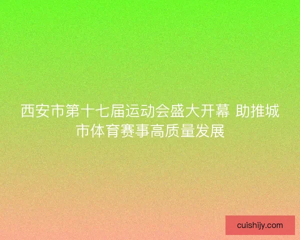 西安市第十七届运动会盛大开幕 助推城市体育赛事高质量发展 西安市第十七届运动会盛大开幕 助推城市体育赛事高质量发展