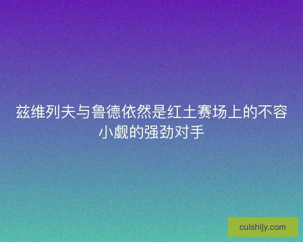 兹维列夫与鲁德依然是红土赛场上的不容小觑的强劲对手 兹维列夫与鲁德依然是红土赛场上的不容小觑的强劲对手