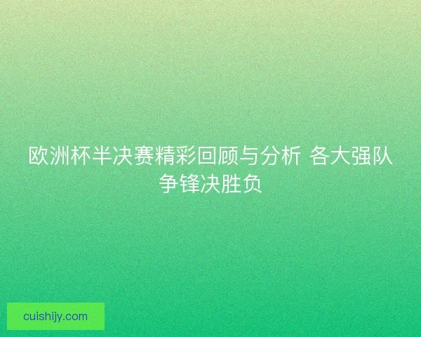 欧洲杯半决赛精彩回顾与分析 各大强队争锋决胜负